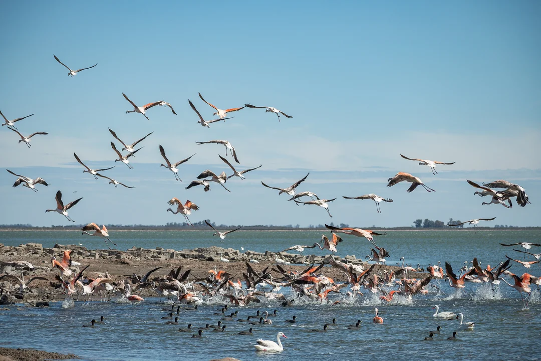 Mar Chiquita tiene una laguna salada donde viven flamencos y otras especies ideal para visitar