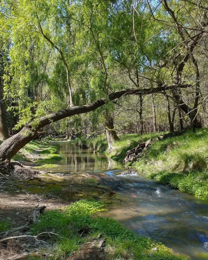 Las termas Carhué te esperan para una experiencia inolvidable