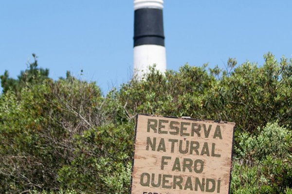 Villa Gesell tiene una nueva propuesta para que los turistas conozcan su flora y su fauna