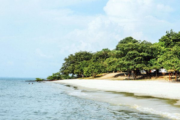 Guinea Bissau, tras el rastro de los hipopótamos marinos y las tortugas gigantes