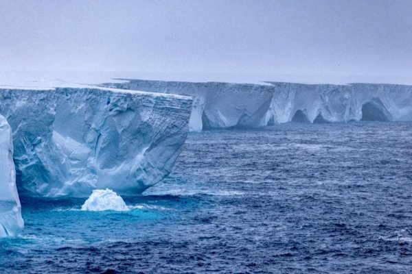 Un video muestra el iceberg más grande del mundo a la deriva en el océano Antártico