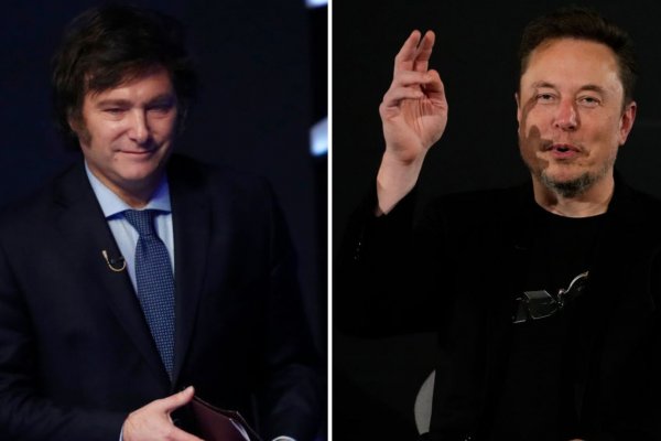 ¿Qué dijo Elon Musk sobre el discurso de Javier Milei en Davos?