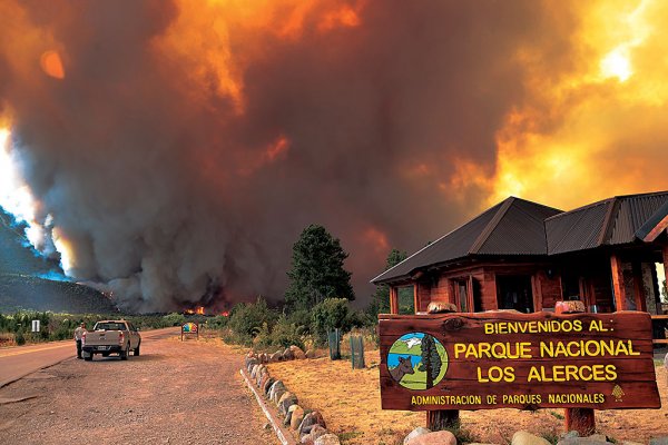 Parque Nacional Los Alerces: ya se quemaron casi 700 hectáreas