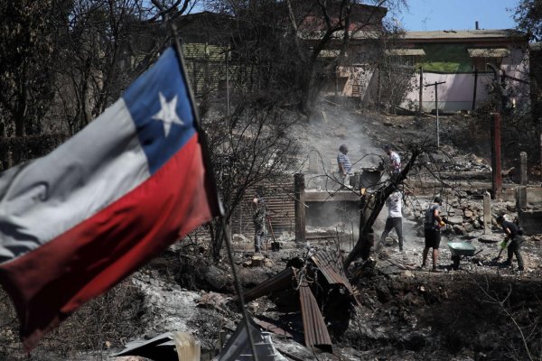 Veterinarios asisten a perros y gatos afectados por los incendios en Chile