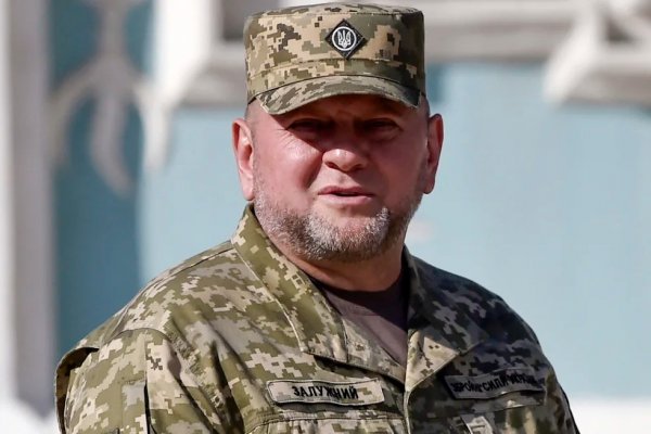 En medio de tensiones, Zelensky despidió al popular jefe militar de Ucrania. Esto es lo que sabemos de su decisión