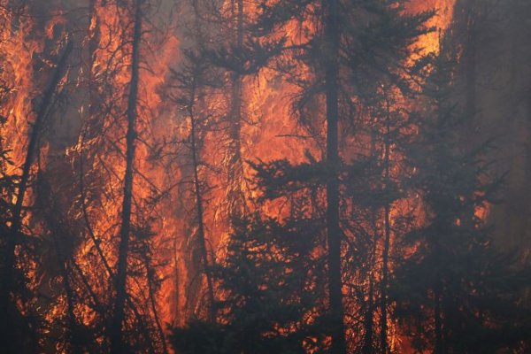 En un planeta más caliente “nadie es inmune” al riesgo de incendios, dice autor