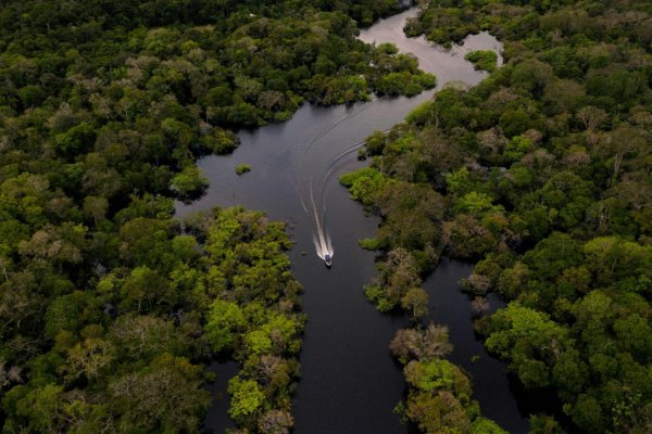 Los desafíos en la lucha contra la destrucción del medio ambiente