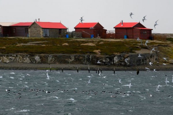 David Cameron, canciller del Reino Unido, visitará por primera vez las islas Malvinas