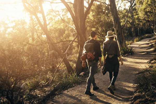 Mindful walking la forma de caminar que recomienda la Universidad de Harvard para cumplir 100 añoscon salud