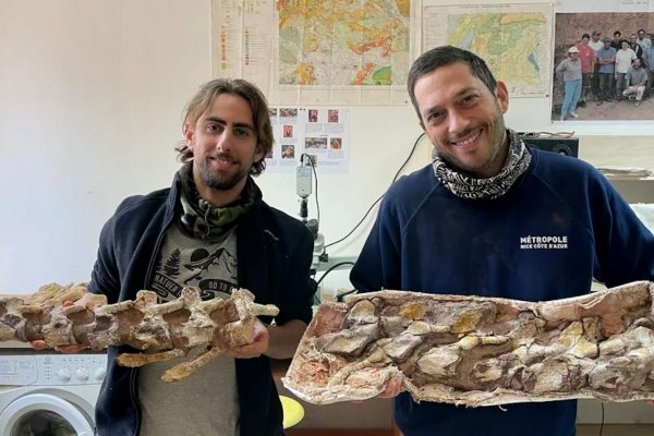 Hallan el esqueleto de un dinosaurio de hace 70 millones de años