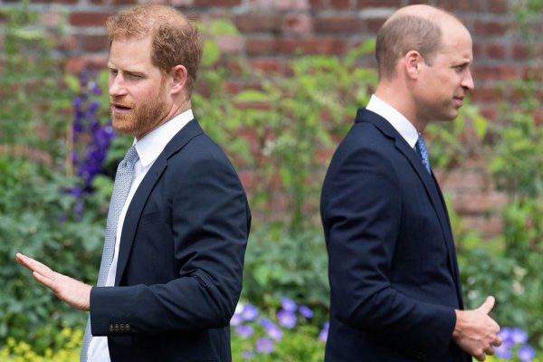 Los príncipes William y Harry asistirán por separado en un evento en honor a Diana