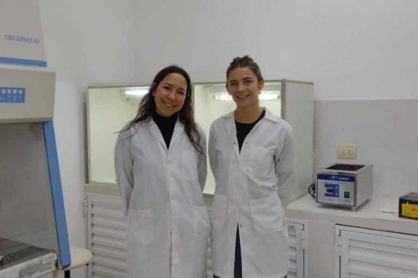Estudiante de Veterinaria optimiza técnica molecular para detectar agentes causantes de abortos equinos