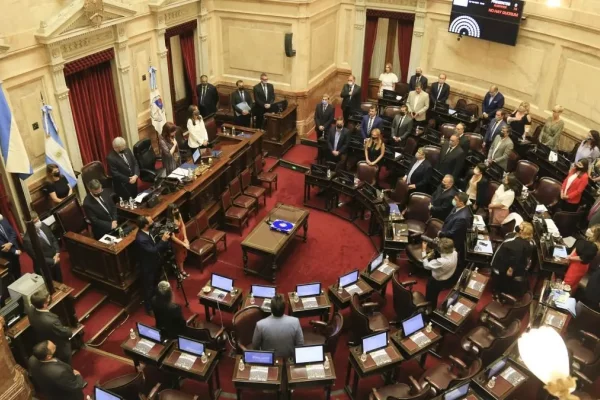 Ley Base: senadores nacionales correntinos votaron a favor y uno podría ser expulsado de su partido