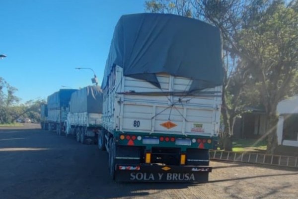 ILEGAL! Secuestran en Corrientes más de 9. 000 kilos de Soja