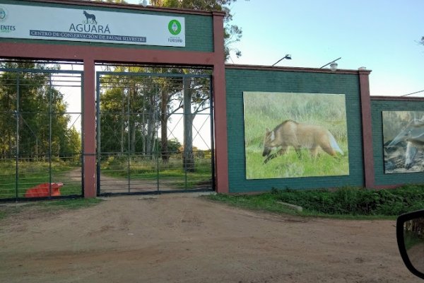 El Centro Aguará Corrientes busca voluntarios fijos