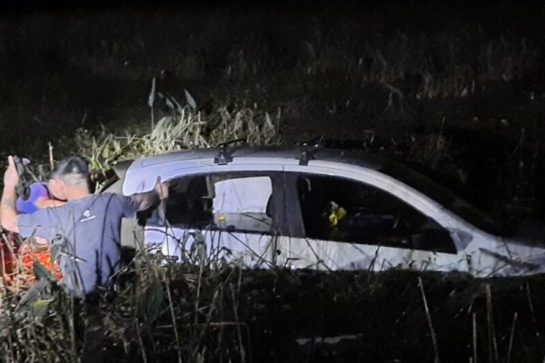 Atropelló a un carpincho en la Ruta 12 y terminó sumergido en una laguna