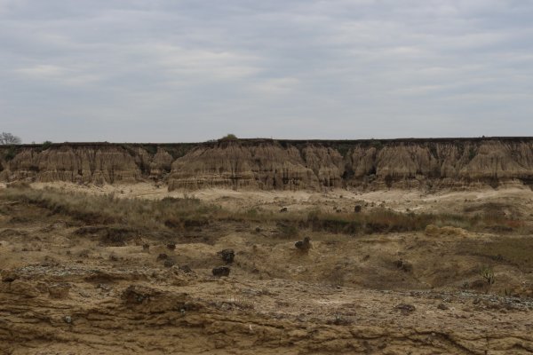 Análisis tafonómico revela nuevos datos sobre la Formación Toropí/Yupoí en Corrientes