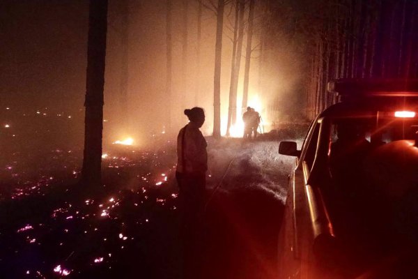 Peligro de incendio en la provincia: oficialmente reportaron casi 100 focos