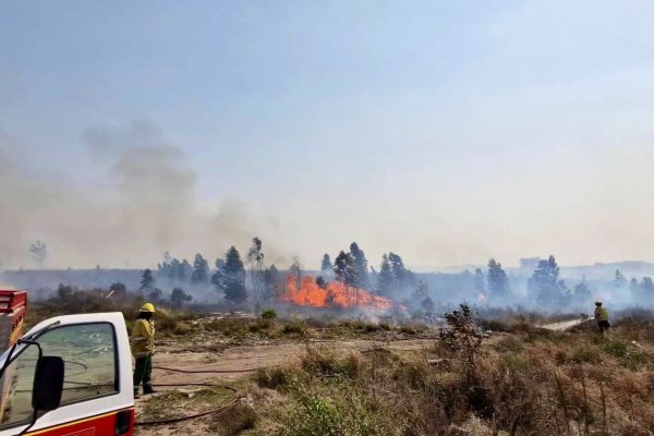 El gobernador entregó $232 millones a bomberos voluntarios