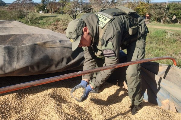 CORRIENTES! Otra vez secuestran 60 toneladas de soja que eran trasladadas en dos camiones