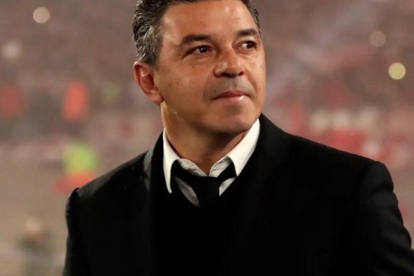 Marcelo Gallardo: 