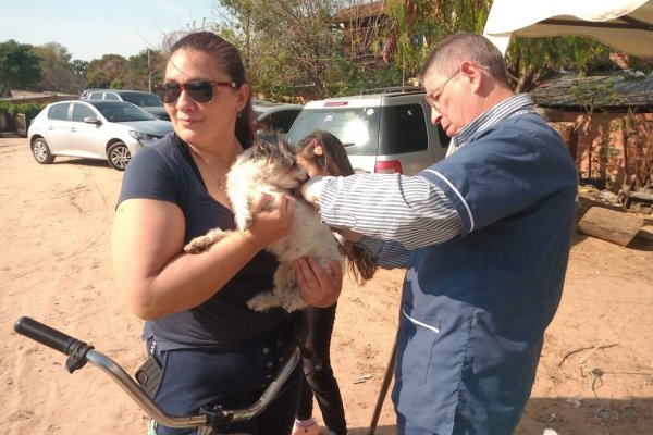 El equipo de Salud Pública aplicó 14 mil vacunas antirrábicas a mascotas