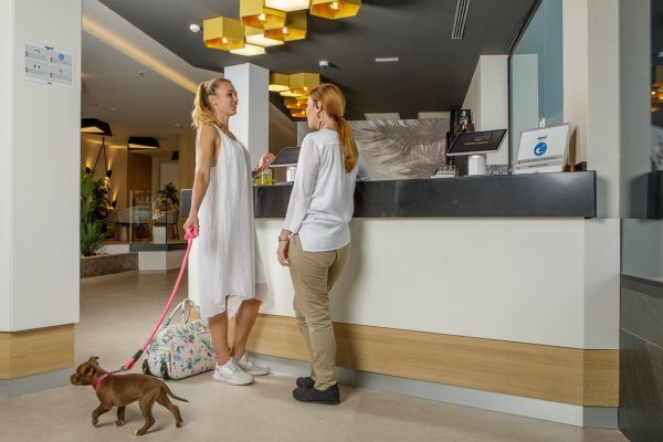 MYND Hotels el espacio pet friendly en Canarias