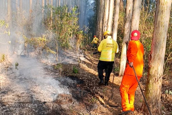 Incendios: propietarios de campos siguen haciendo fuego a pesar de la prohibición