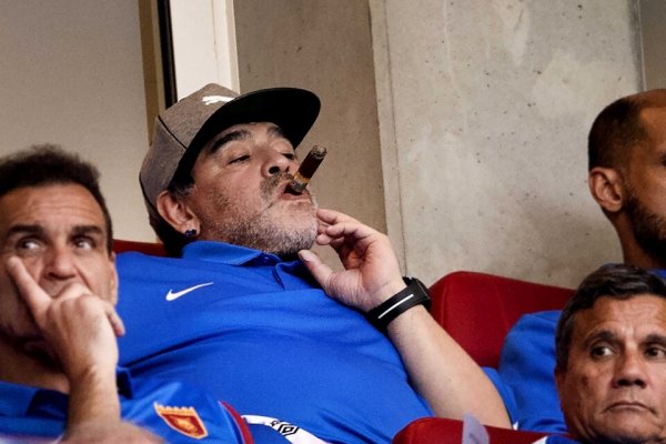 Maradona, las hormigas y un vocero