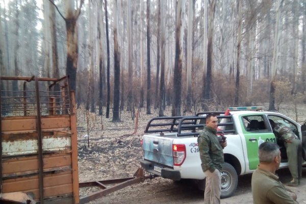 Una familia ganadera en Monte Caseros clama por seguridad ante abigeato