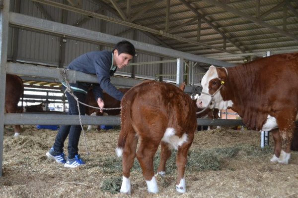 Quedó inaugurada la 88° Exposición Rural de Corrientes