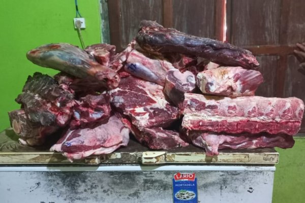 PELIGRO! Secuestran en carnicerías de Corrientes carne no apto para consumo