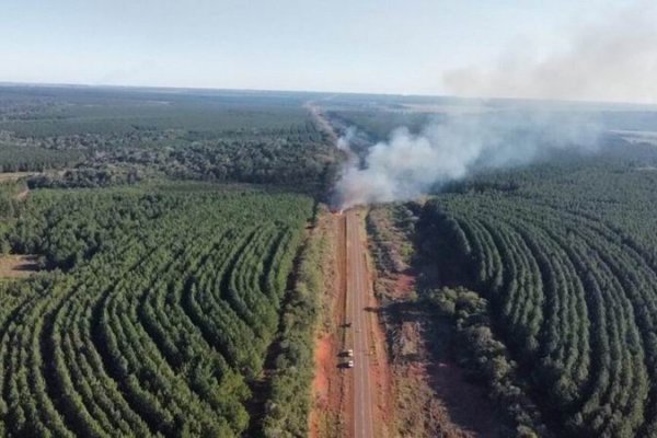 Avanzan con quemas controladas para prevenir incendios en verano