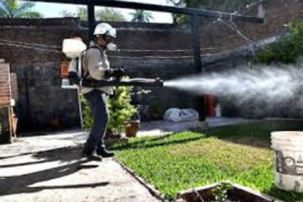 DENGUE! Salud Pública informó que no hay casos y que la vacunación sigue tras el cese de cobertura del IOSCOR