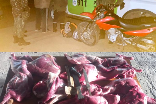 CARNE DE CIERVO! Detenidos en su moto por matar en Sauce Corrientes