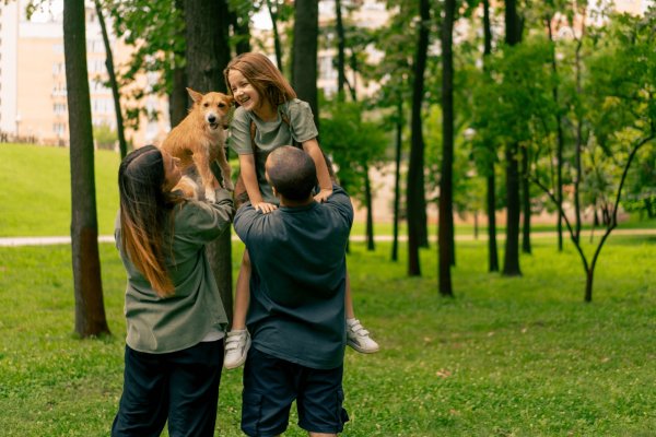 ¿Querés viajar con tu mascota? Wyndham Garden Campana lanza paquete “Pet Friendly”