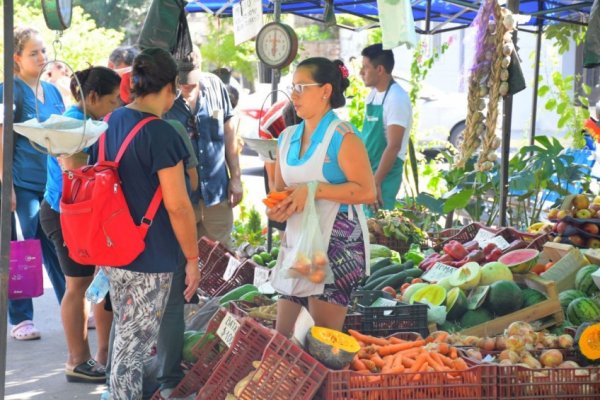 Los feriantes estarán hoy en Plaza Torrent