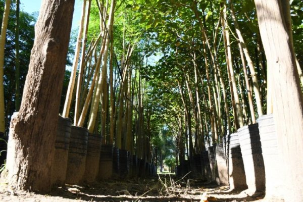 Corrientes será sede de las Primeras Jornadas Agronómicas Internacionales