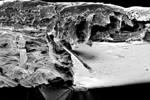 Con microscopía electrónica analizan medidas de seguridad en billetes del Mercosur