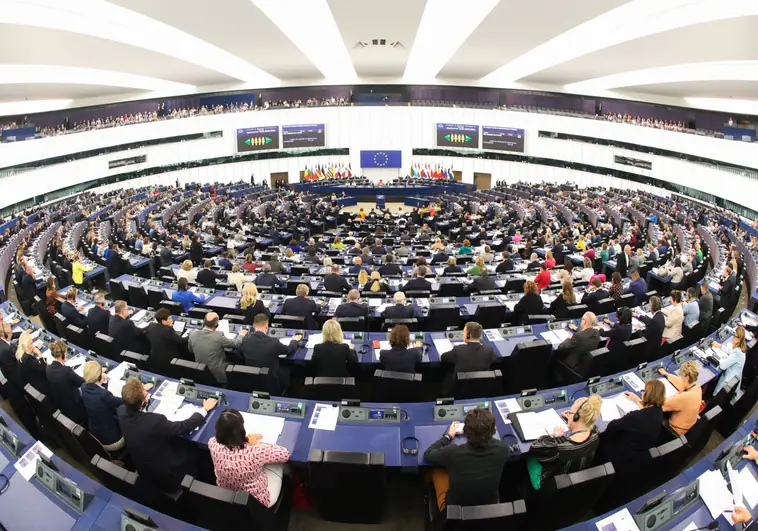 Cuatro eurodiputados portugueses, los únicos versos sueltos del Partido de los Socialistas que votaron a favor del reconocimiento de Edmundo González