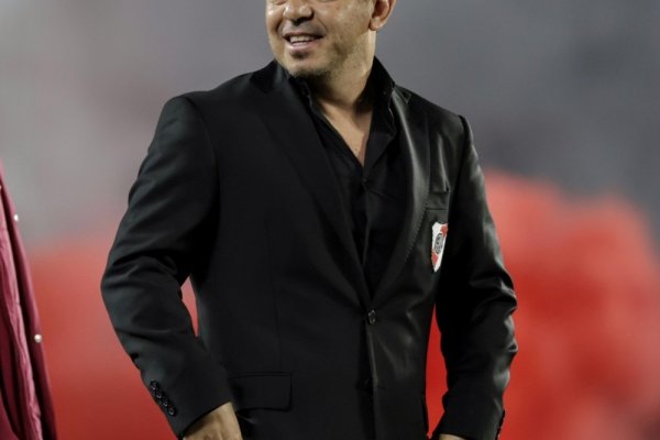 Marcelo Gallardo: 