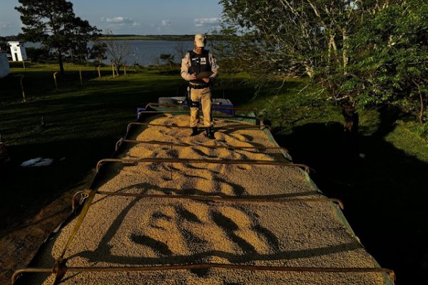 Interceptan otro cargamento ilegal de soja en el sur de Corrientes