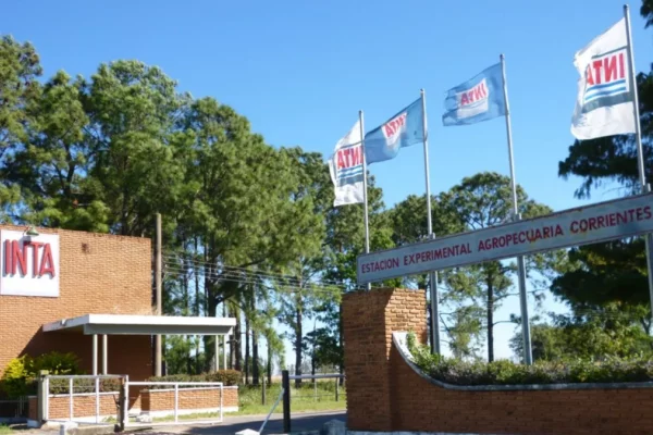 Motosierra libertaria: cierran delegaciones del INTA en Corrientes