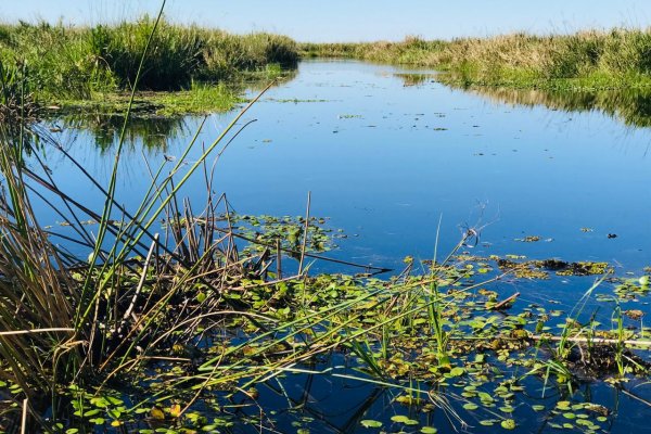 Fin de semana largo con menos movimiento que en 2023: Iberá fue el destino más elegido en Corrientes