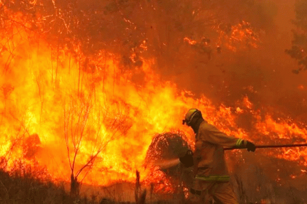 Milei responsabilizó a La Cámpora por los incendios en Córdoba al difundir una fake news y salieron a desmentirlo