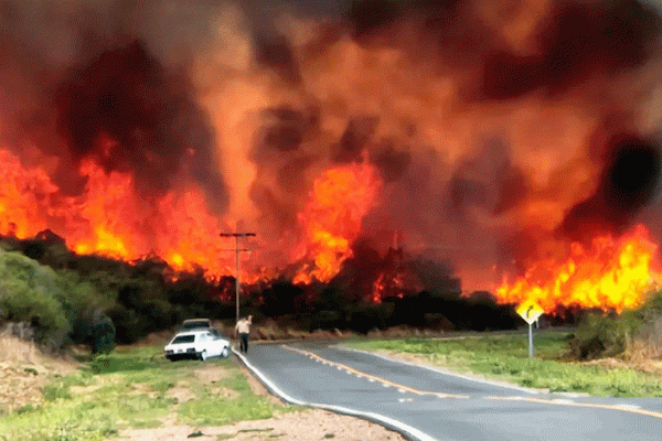 Amnistía internacional intima a Argentina por su inacción en los incendios forestales