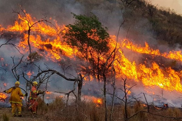 Incendios en Córdoba, barrer con el monte para que florezcan los negocios