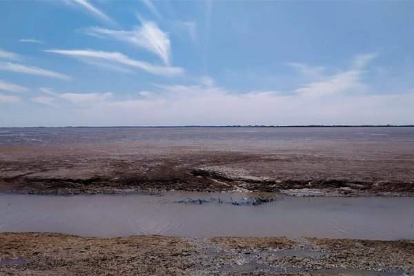 Victoria, en riesgo de quedarse sin agua: advierten que las bocas del Paraná están “totalmente tapadas”