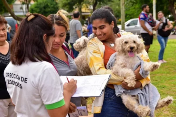 Mascotas saludables: hoy, en el Barrio San Benito