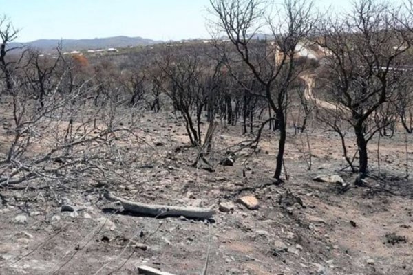 Continúan algunos focos activos y persiste el riesgo extremo de incendios en Córdoba